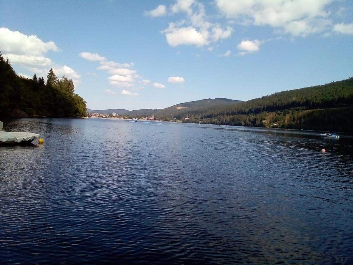 Schwarzwald - Villa Appartments Titisee Zewnętrze zdjęcie