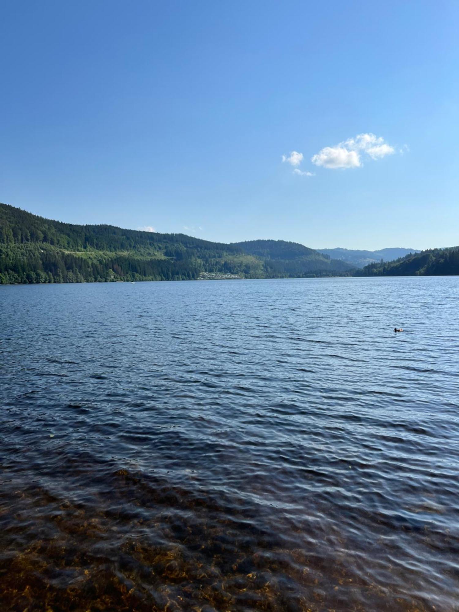 Schwarzwald - Villa Appartments Titisee Zewnętrze zdjęcie