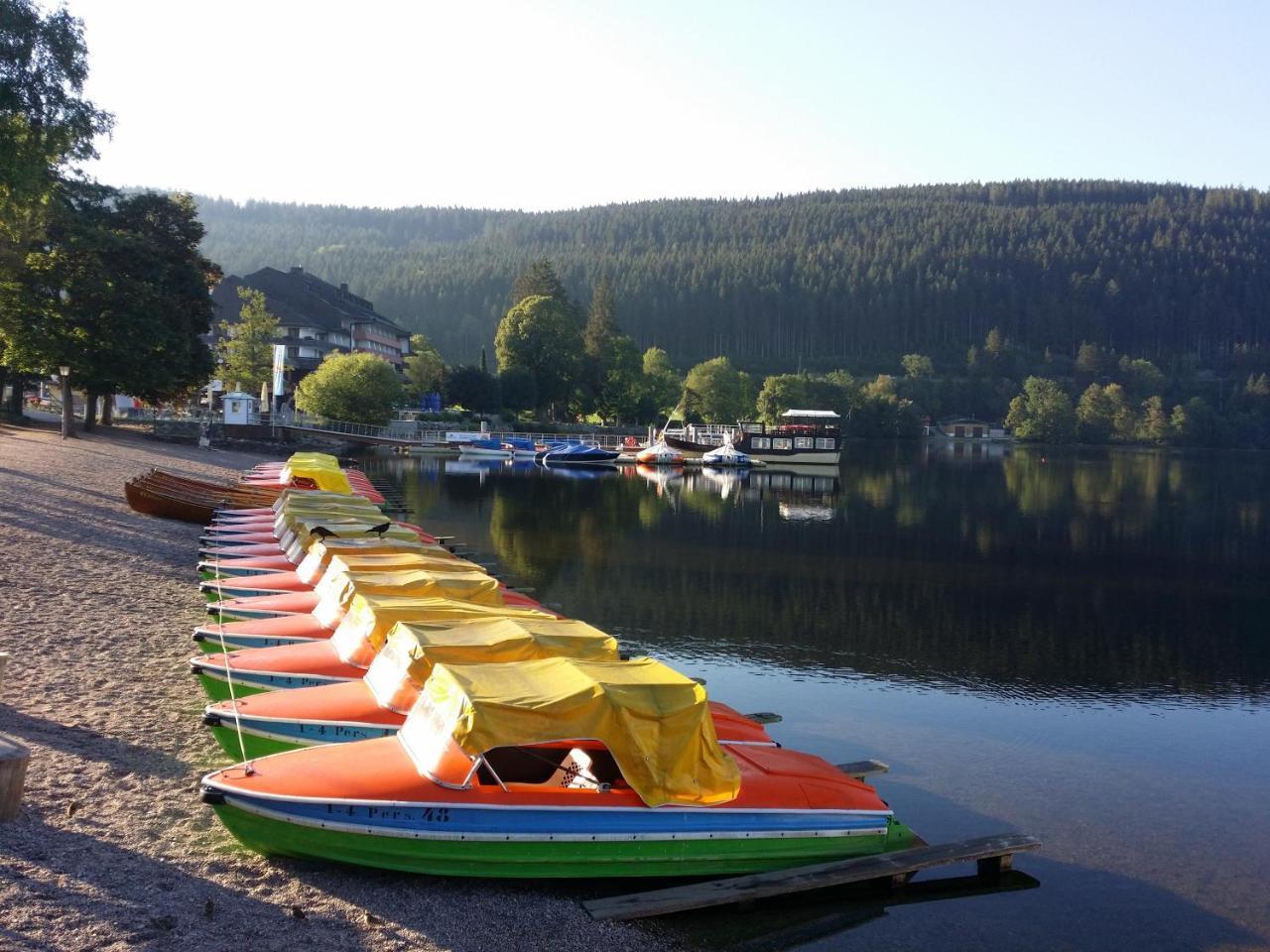 Schwarzwald - Villa Appartments Titisee Zewnętrze zdjęcie