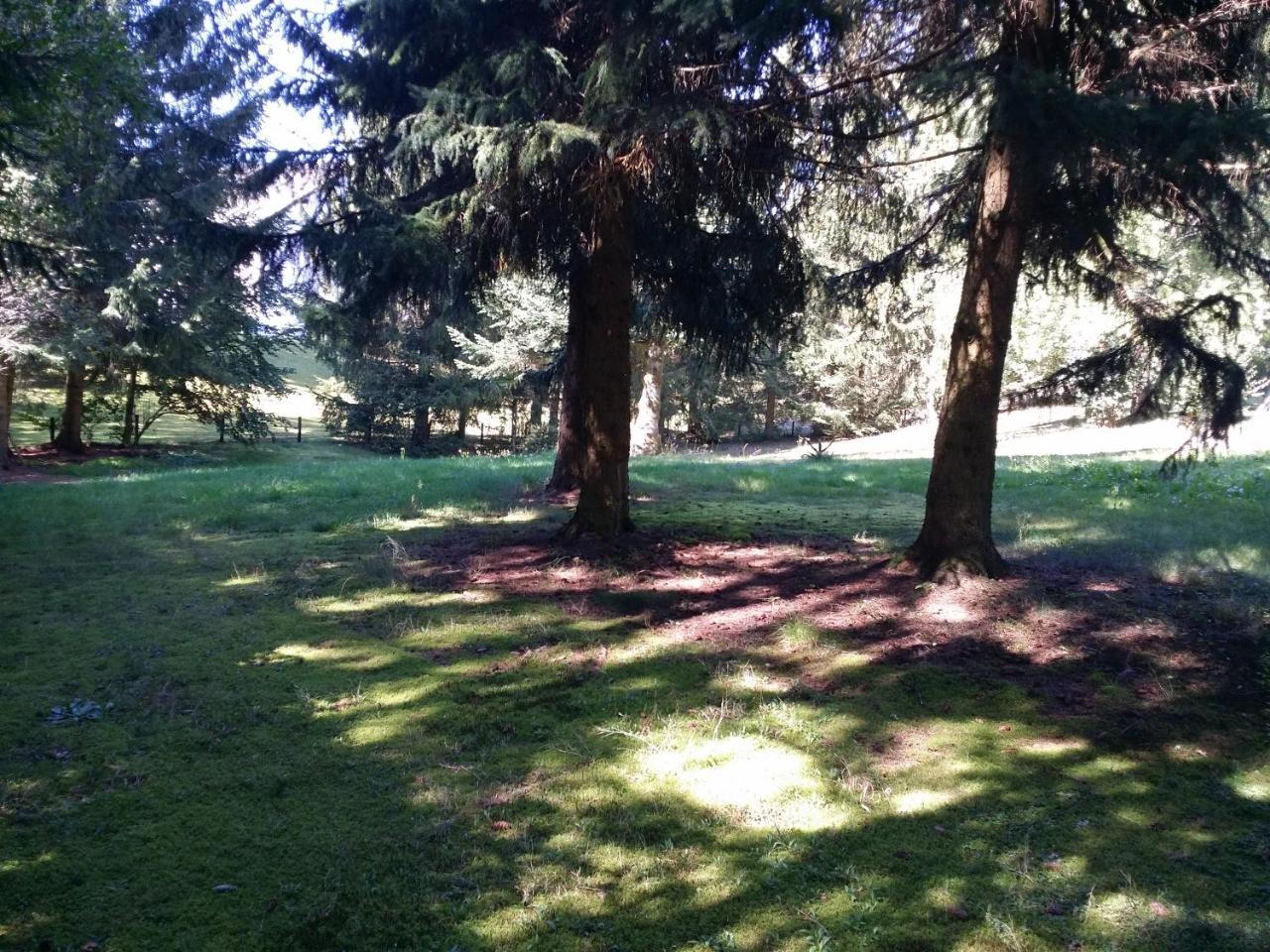Schwarzwald - Villa Appartments Titisee Zewnętrze zdjęcie