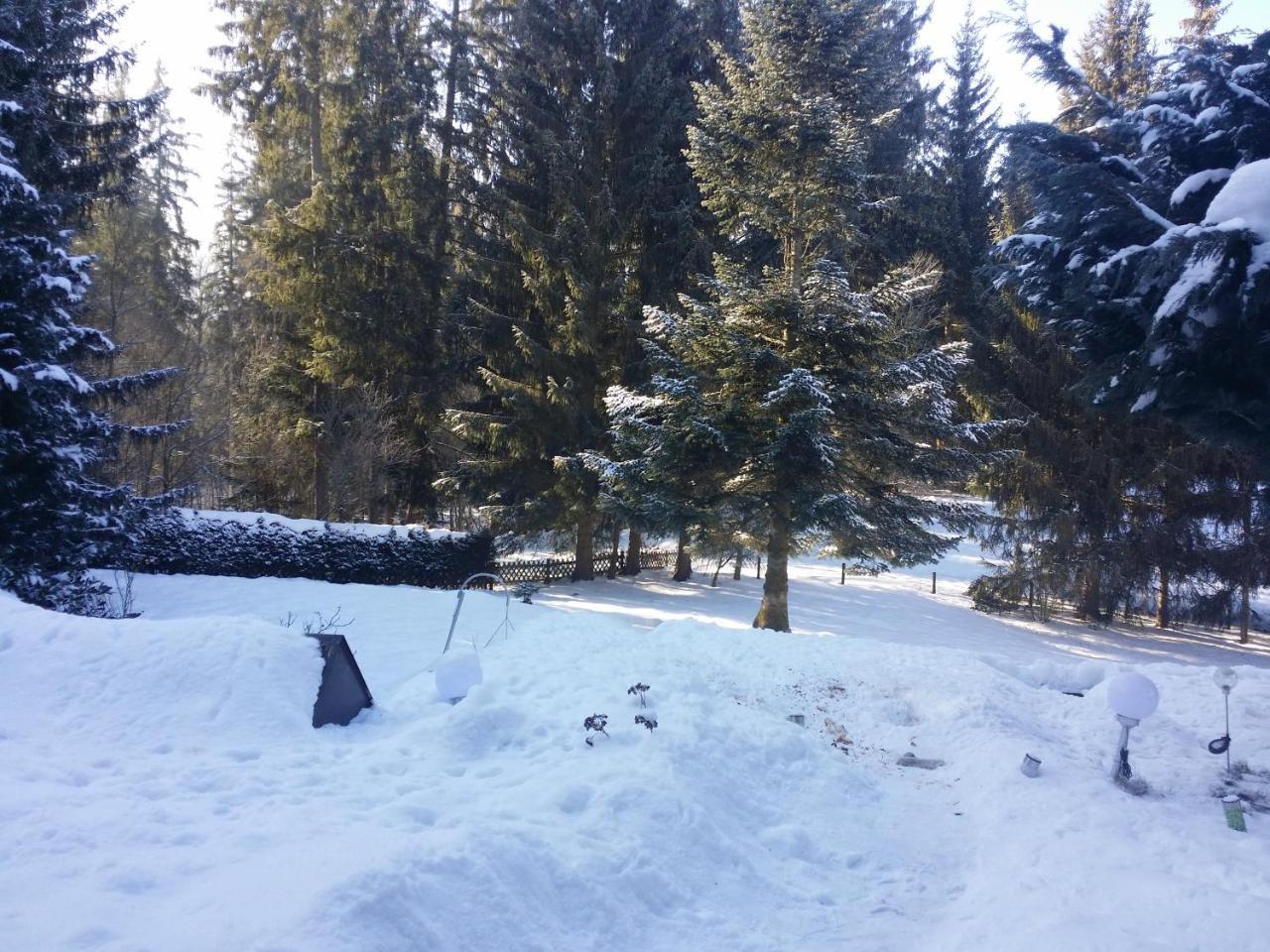 Schwarzwald - Villa Appartments Titisee Zewnętrze zdjęcie